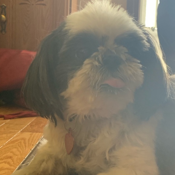 Meet your Posher, Cristina - Picture 1 of 1